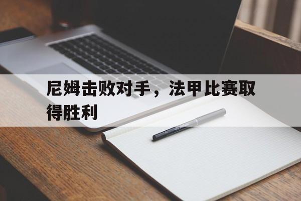 leyu-法甲尼姆队